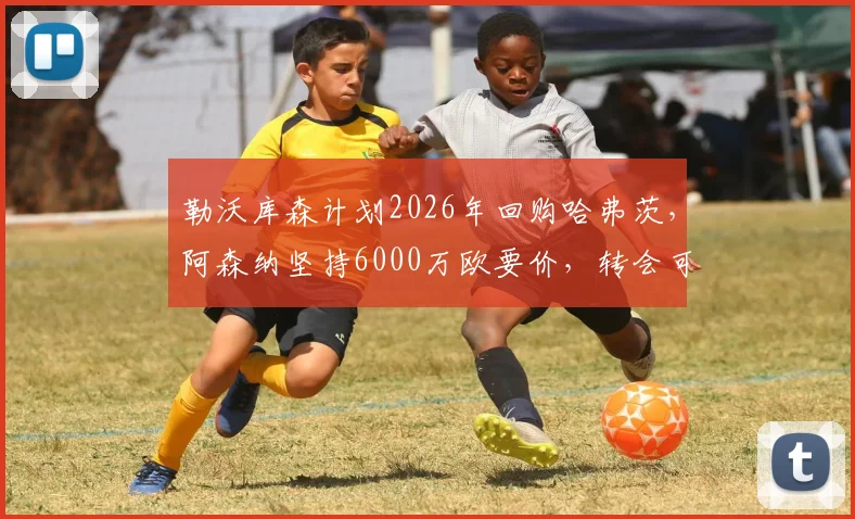 勒沃库森计划2026年回购哈弗茨，阿森纳坚持6000万欧要价，转会可能性与球员身价深度分析