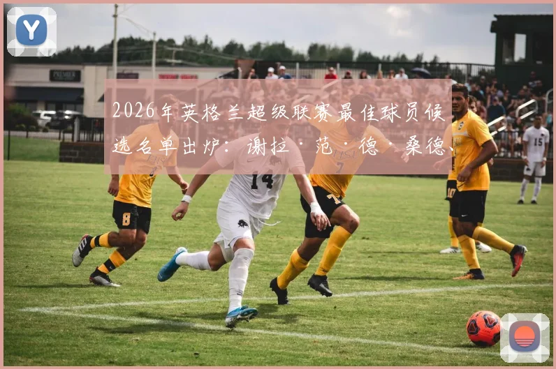 2026年英格兰超级联赛最佳球员候选名单出炉：谢拉·范·德·桑德、鲁本·迪亚斯和佩德罗·内托领衔角逐